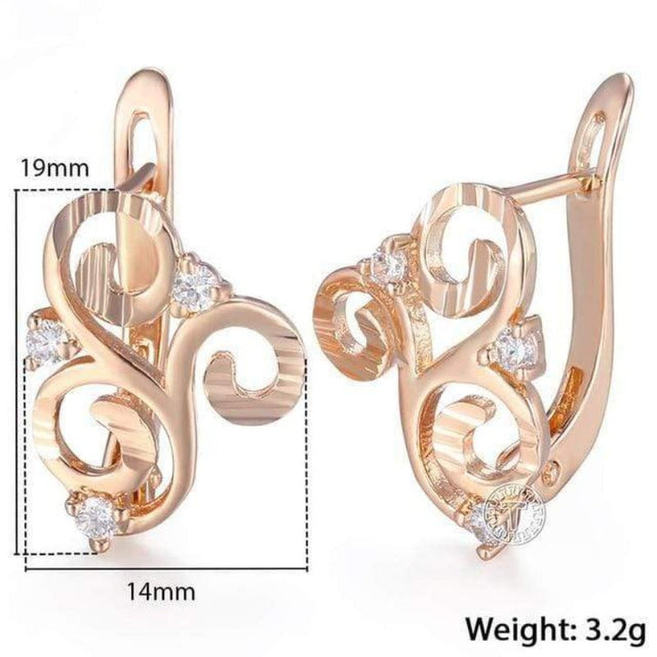 Drop Gold Filled Cubic Zirconia Women's Earrings