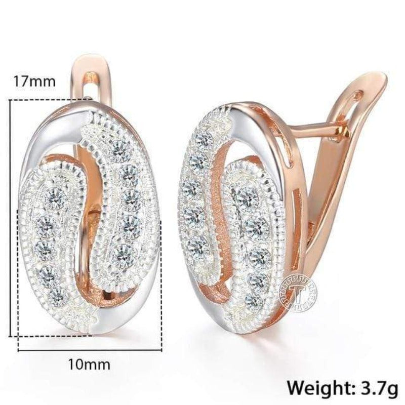 Drop Gold Filled Cubic Zirconia Women's Earrings