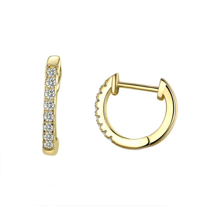 Earrings Womens Cubic Zirconia Hoop Earrings Gold